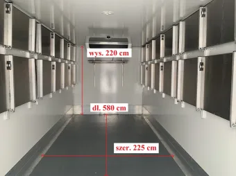 MAN Tgl kontener chłodnia 11 palet 180KM 358100 - tyl zabudowy